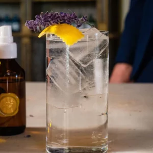 Il mondo del gin: storia, produzione e mixology