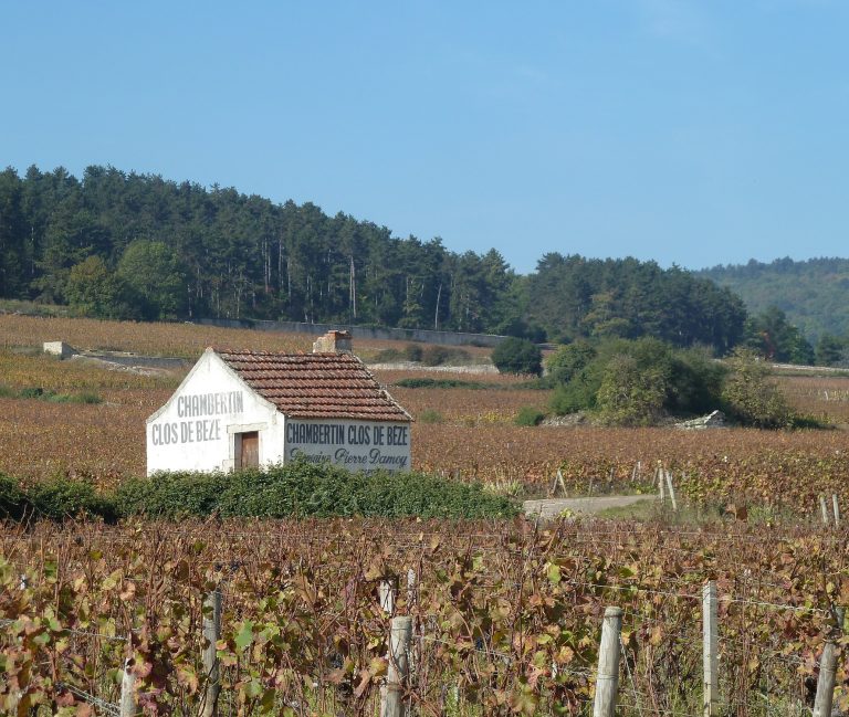 Clos de Bèze
