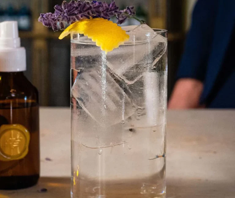 gin di baldo spirits